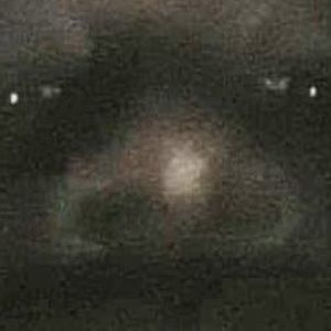 Meet your Posher, Damain